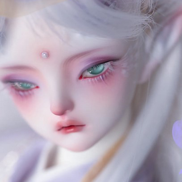 dollzone yin long msd 1/4