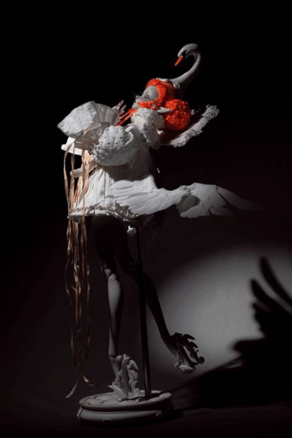 coral reef msd white black swan