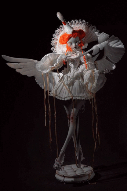 coral reef black white swan