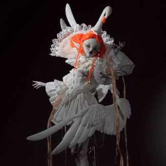 coral reef black white swan