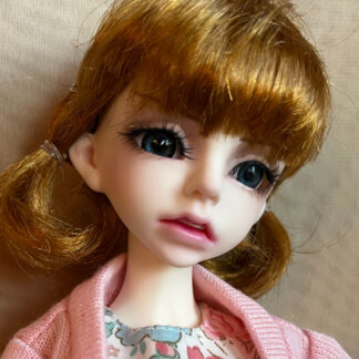 darling darcy doll leaves hedy