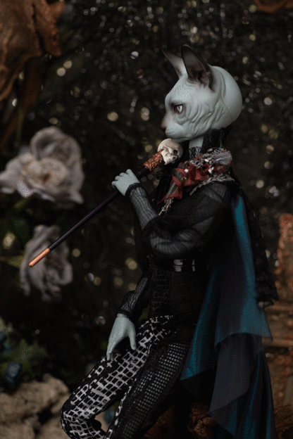 fairyland f60 kanis felidae
