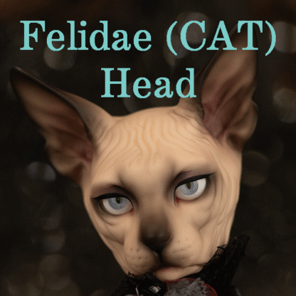 fairyland f60 kanis felidae