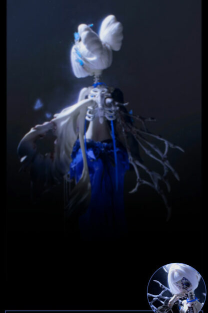 doll chateau elsa eirwen