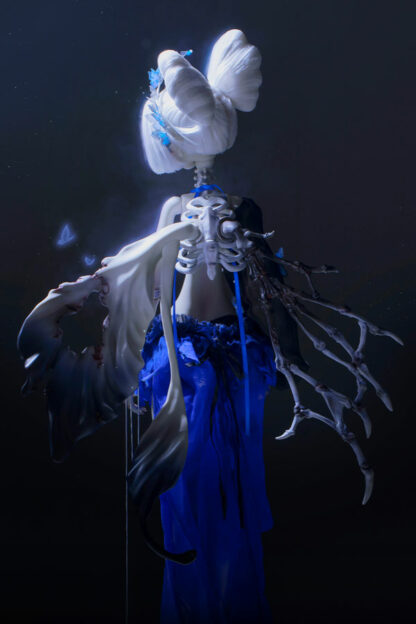 doll chateau elsa eirwen