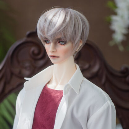 leeke world liam art wig