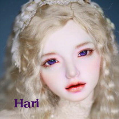 soul doll kid msd hari