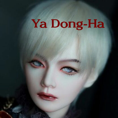soul doll kid msd boy ya dong-ha