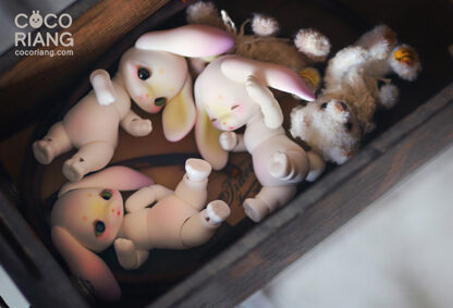cocoriang groomy
