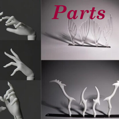CoralReef 1/4 Hands & Feet