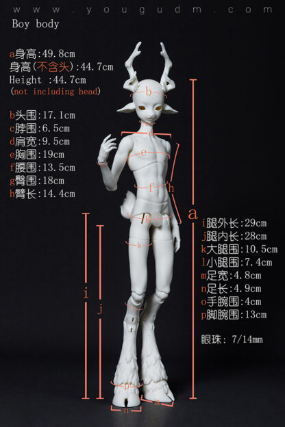 dream valley cedar boy deer