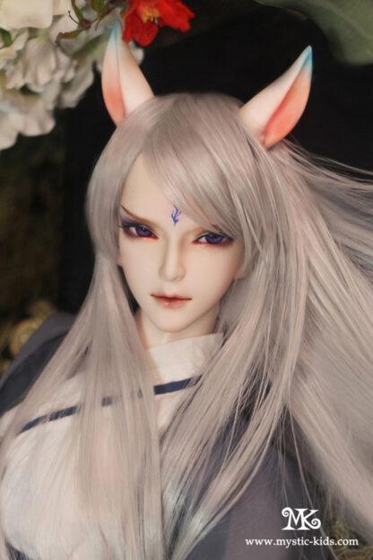 mystic kids sd qing chen fox