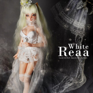 dollmore catish reaa intactly white