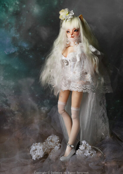 dollmore catish reaa intactly white