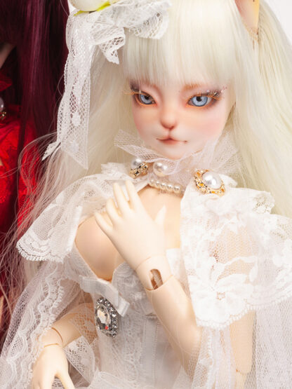 dollmore catish reaa intactly white