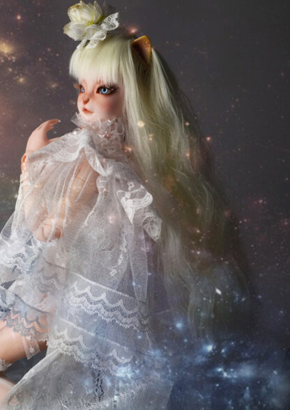 dollmore catish reaa intactly white