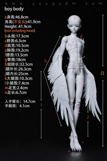 dream valley maurren bird body