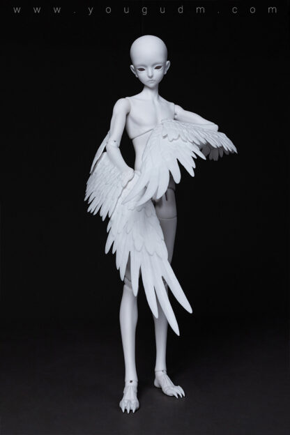 dream valley maurren bird body