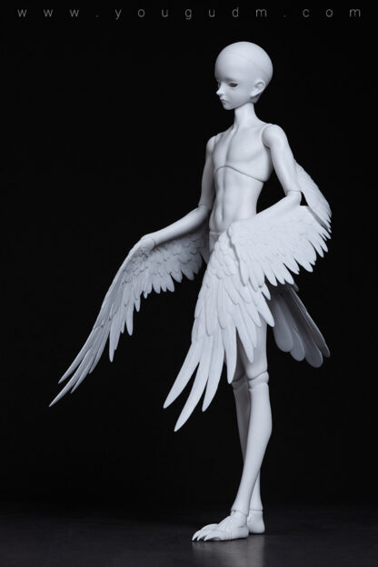 dream valley maurren bird body