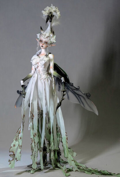coral reef unicorn beetle
