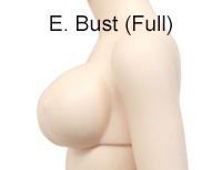 fairyland minifee active girl bust