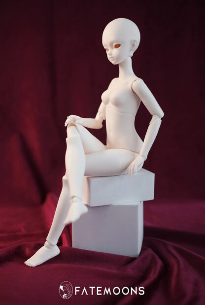 fate moon msd female normal bust body