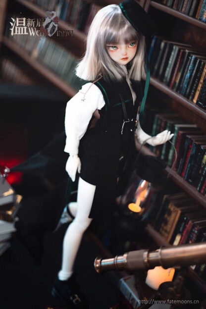 fate moon wen xin mei