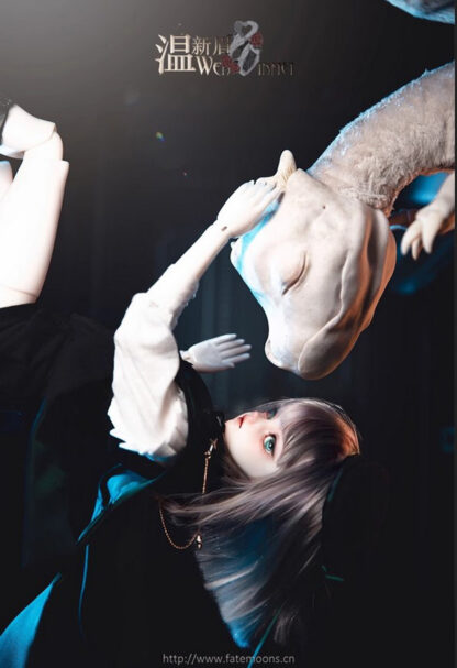 fate moon wen xin mei