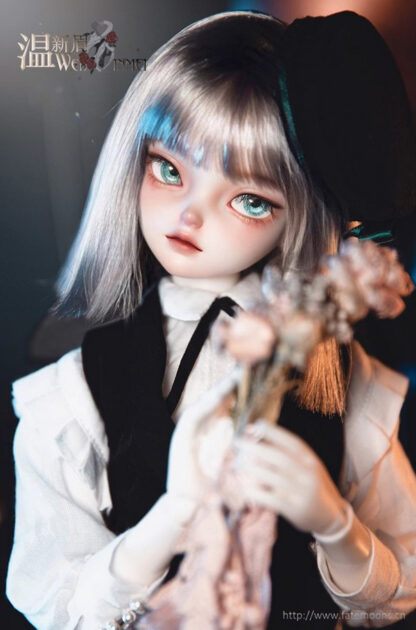 fate moon wen xin mei