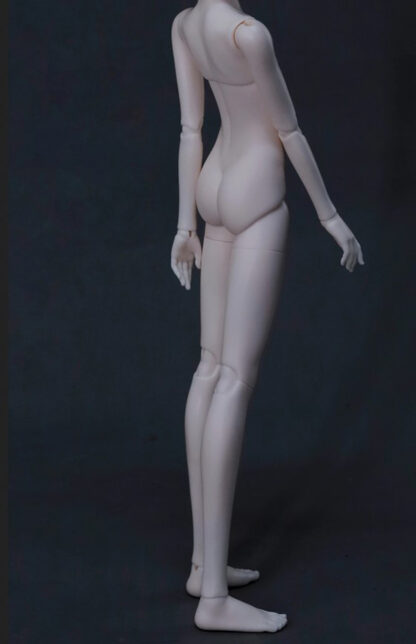 fate moon msd no gender body