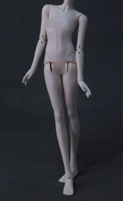 fate moon msd no gender body