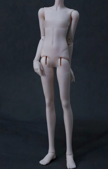 fate moon msd no gender body