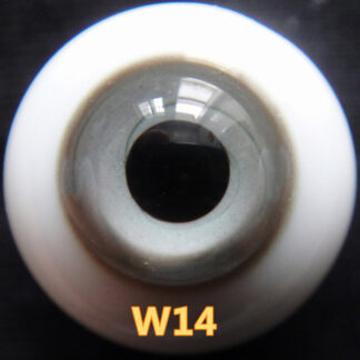 brilliant glass eyes w14