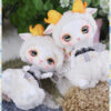 FuwaFuwa Lorenz Bean, Cool Vers. – Denver Doll Emporium