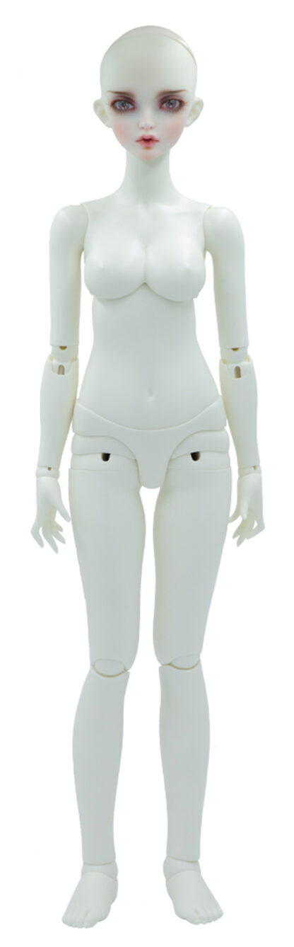 fairyline 60 basic
