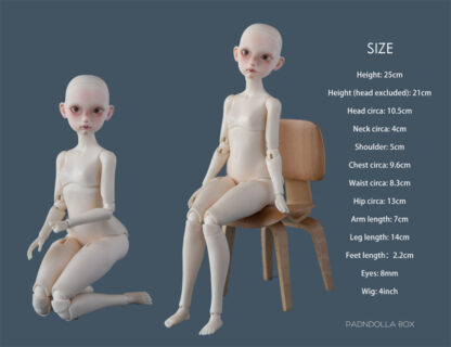 25cm Tutu, White Skin, Face Up "B" - Image 6