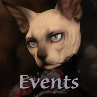 BJD Events