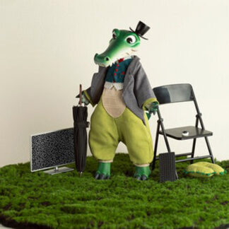 coral reef crocodile bobby