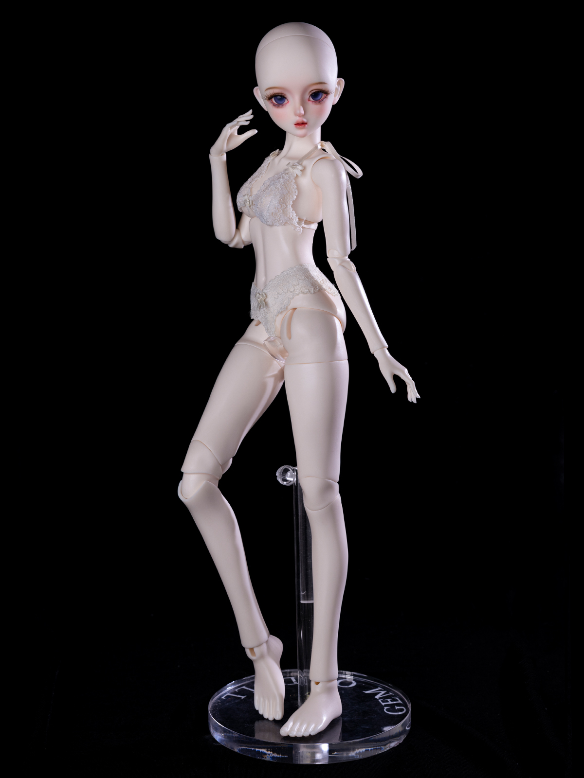 gem msd normal windsor body