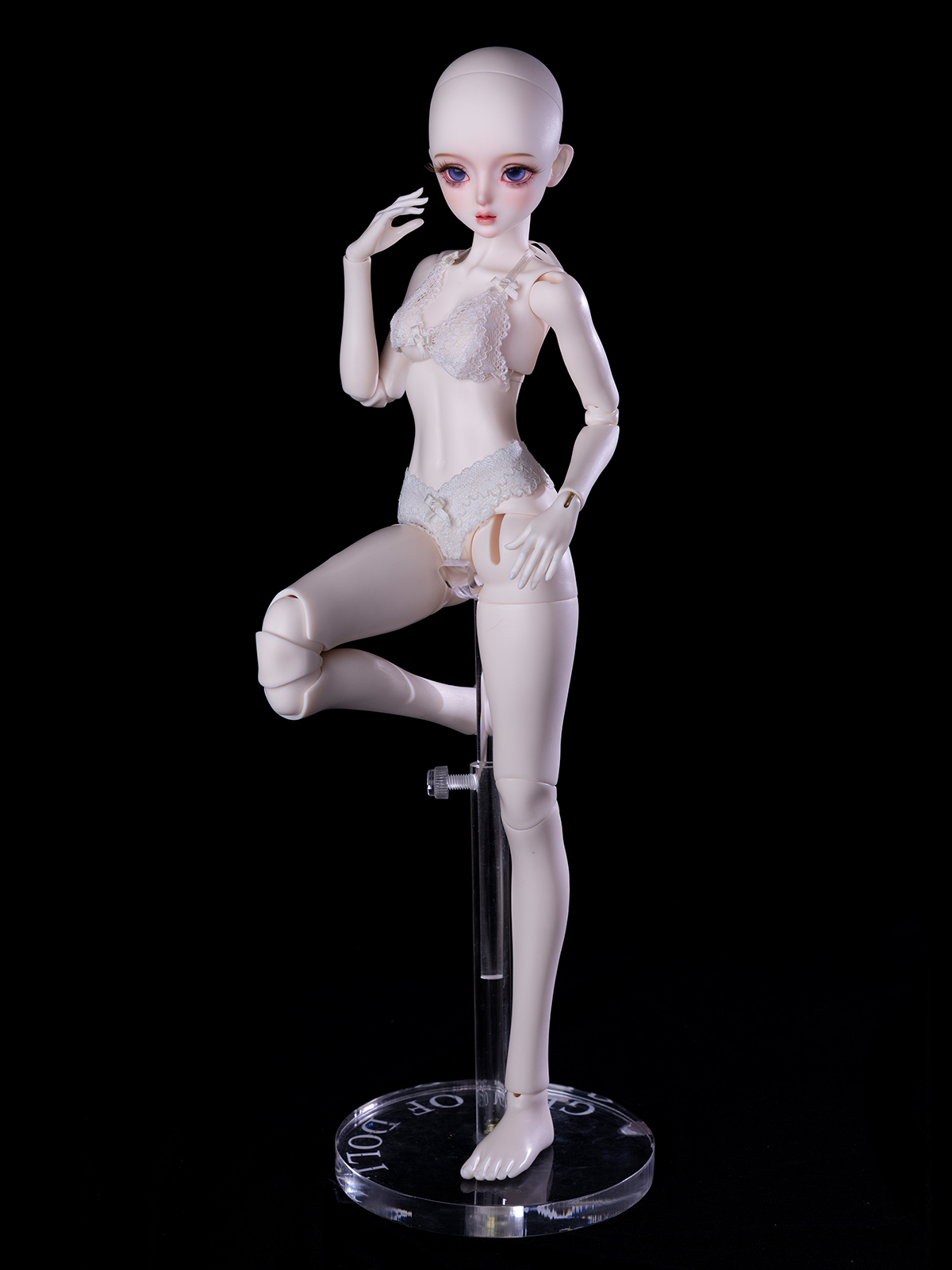 gem msd normal windsor body