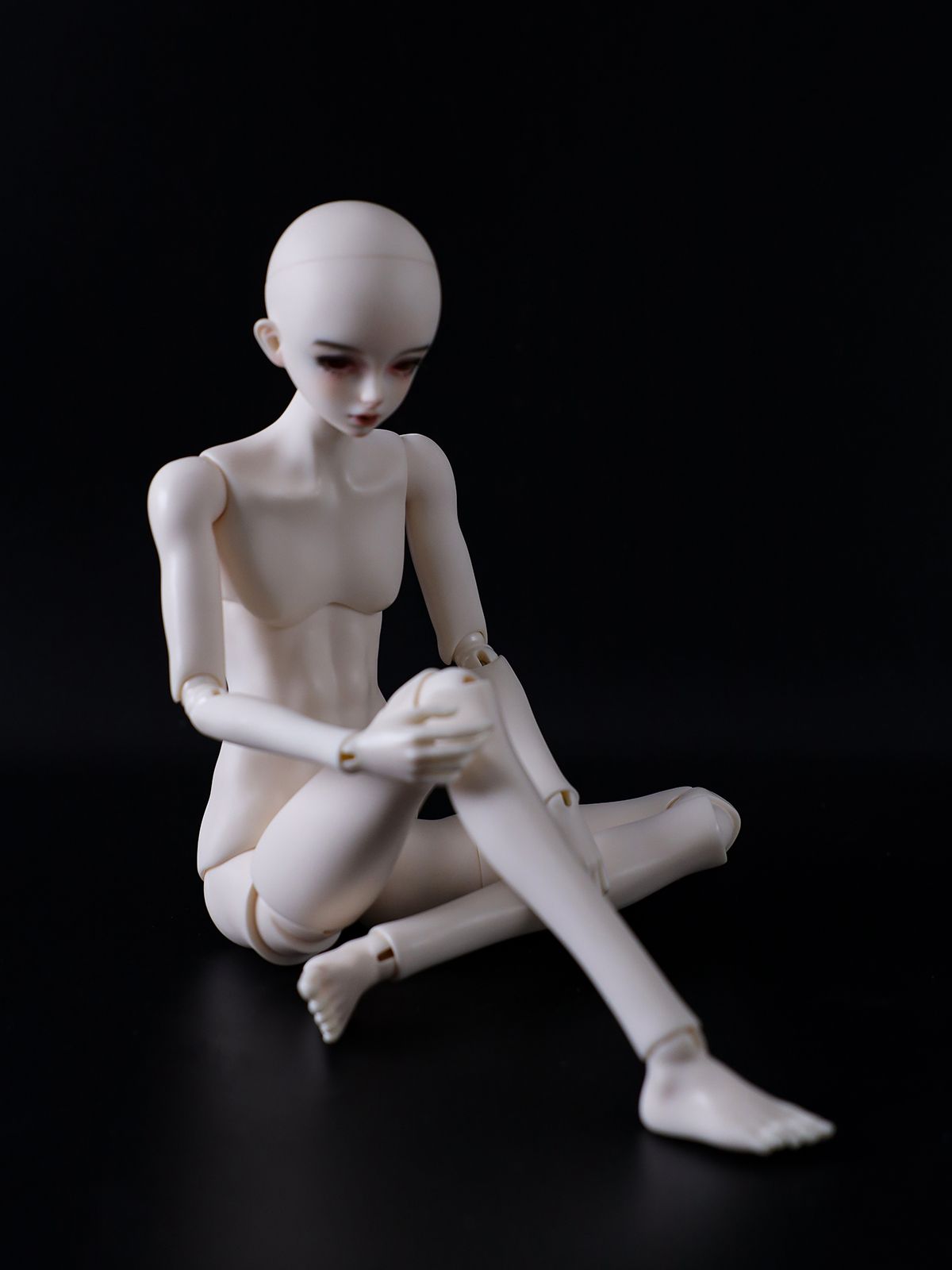 gem msd william body