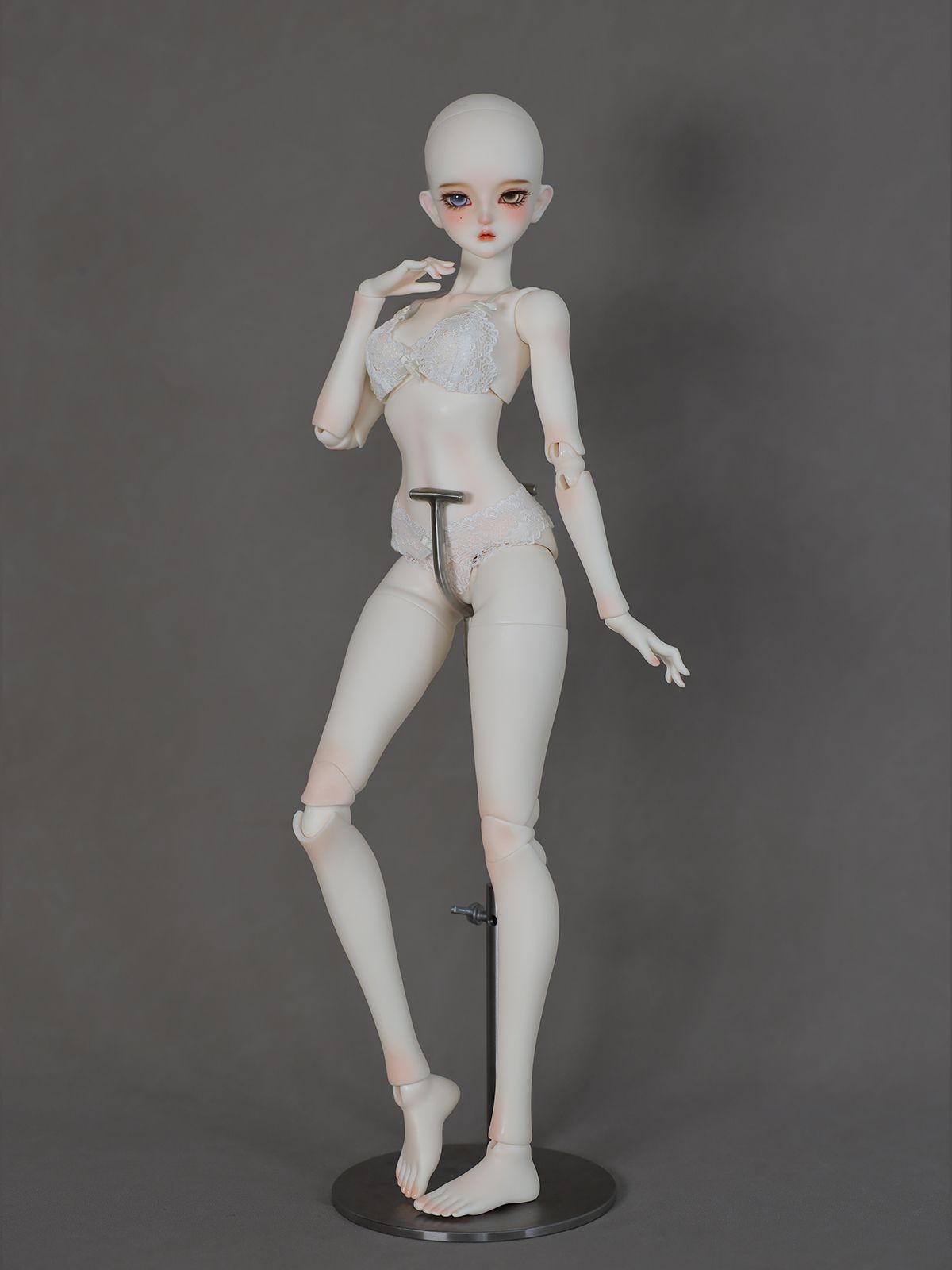 gem msd windsor body