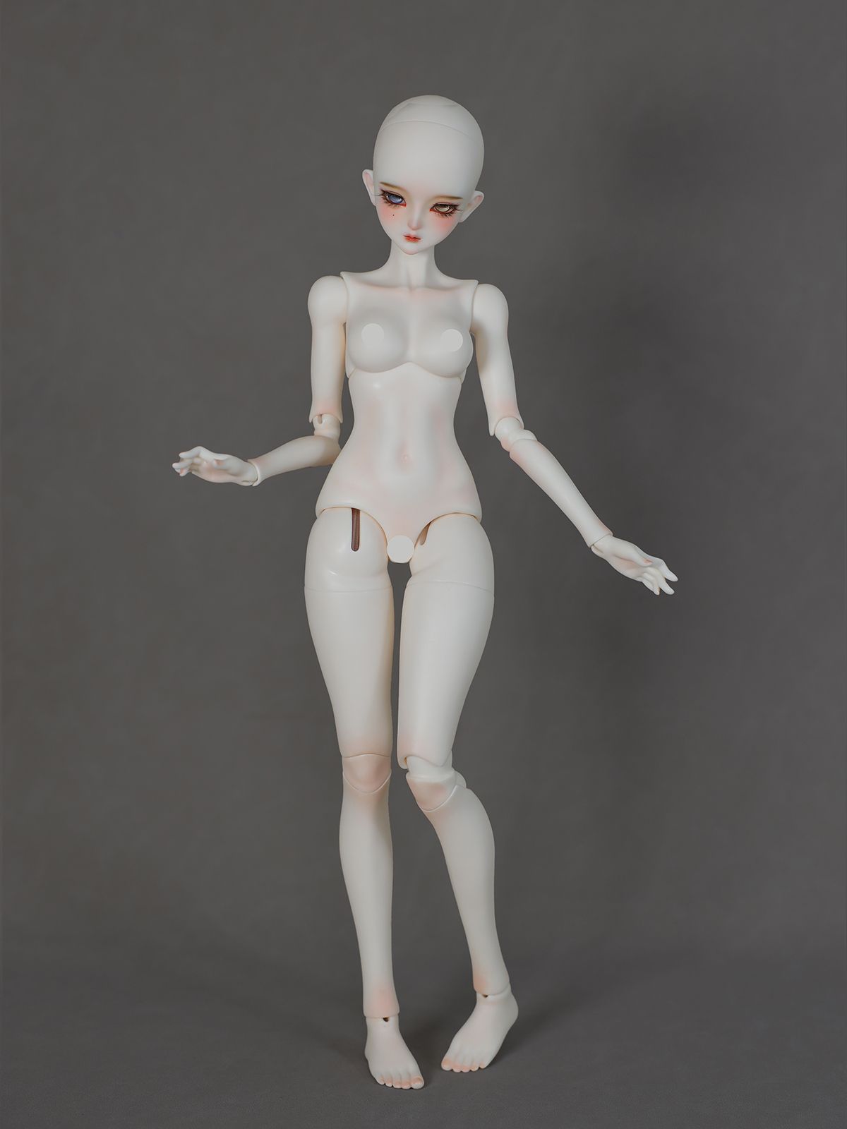 gem msd windsor body