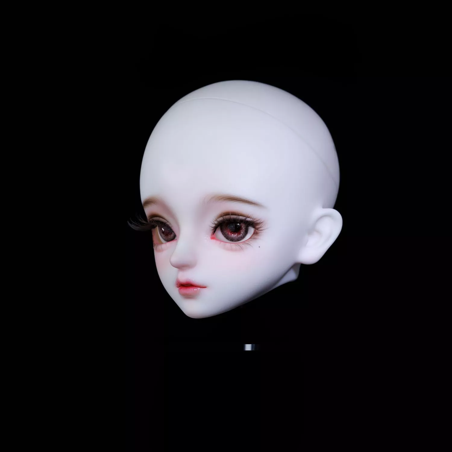 gem msd floralia rose