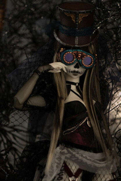 minifee raven