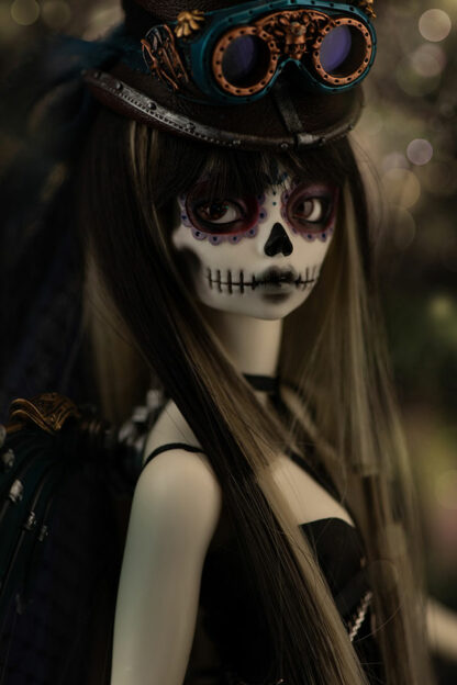 minifee raven
