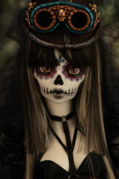 minifee raven