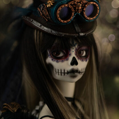 minifee raven