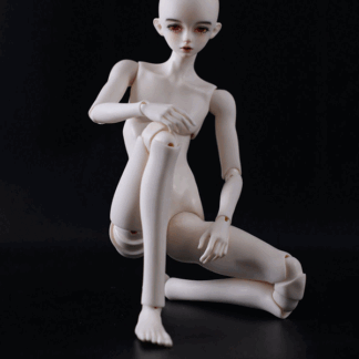 gem msd willioam body