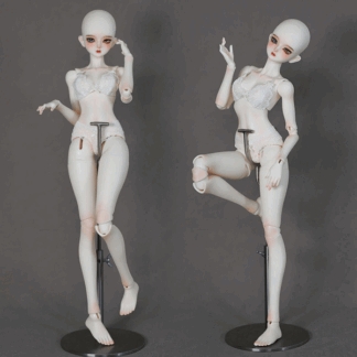 gem msd windsor body